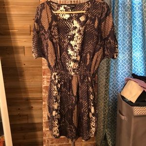 Snakeskin Express Dress